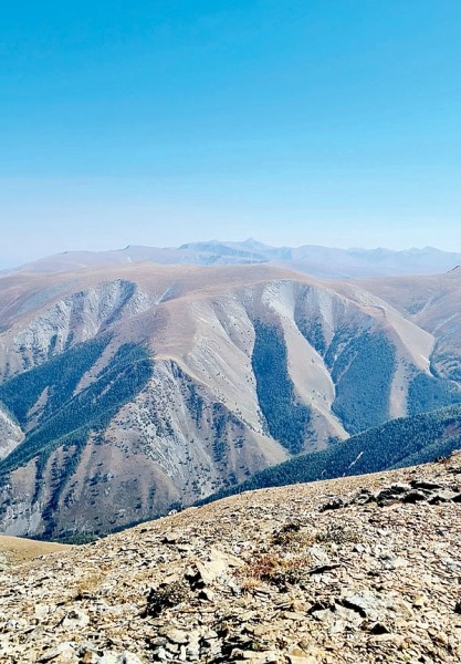 Царь горы
