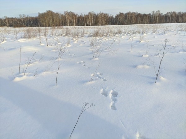 Прогулка после праздника!)))