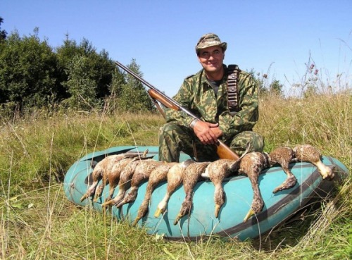 Все, что вам нужно знать об охоте на утку