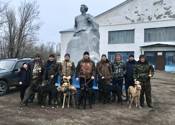 Скорость ветра в четырёх лапах: полевые испытания борзых