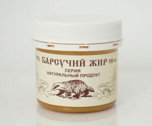 Охота на барсука с собаками и без: методы, тактика, подготовка