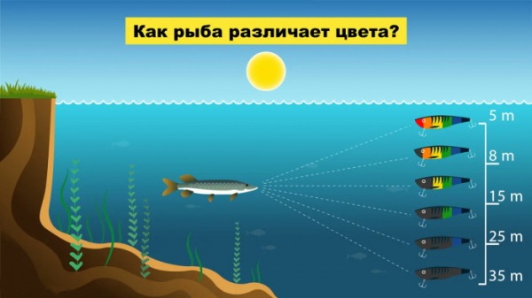 
				Самый уловистый цвет приманки. Как его подобрать?			