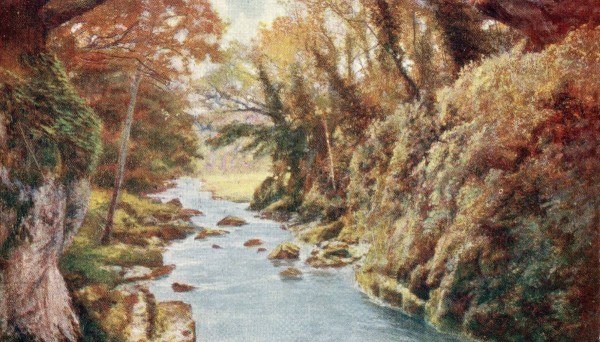 neskolko-zamechanij-po-uzhenju-chast-pervaja-8169765