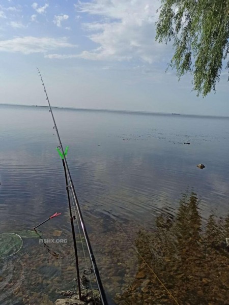 Утро с фидером на новом месте